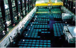 Nuclear fuel storage pond